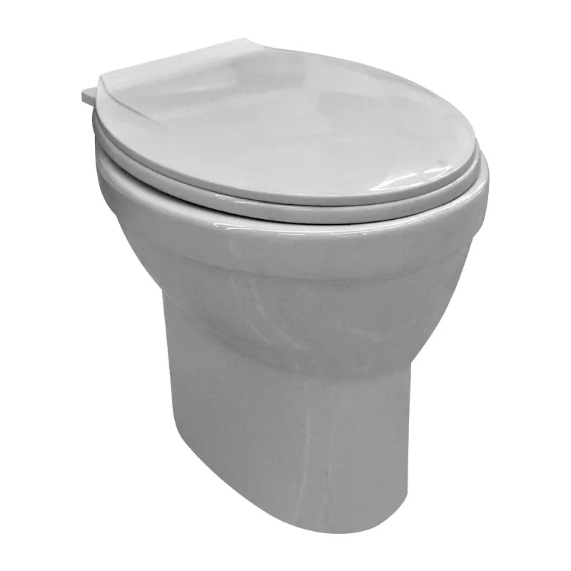 PHILIPPINE STANDARD PAIL FLUSH 18 WHITE WITH SEAT COVER