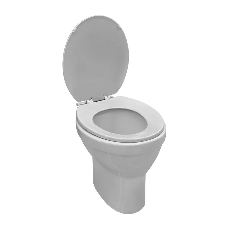 PHILIPPINE STANDARD PAIL FLUSH 18 WHITE WITH SEAT COVER