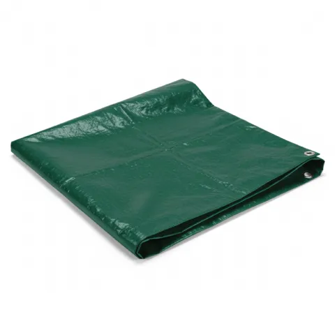 RAVAK TARPAULIN TRA0925-LD23 GREEN PE 80GSM AGRI GRADE LIGHT DUTY