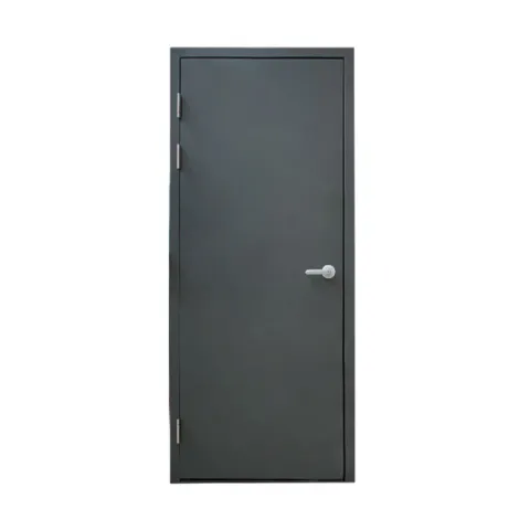 IRON FORGE DOOR DO0821 GRAY STEEL DOOR SERIES STEEL