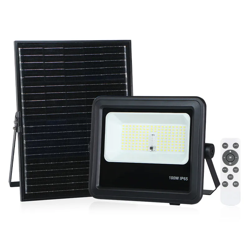 FLOODLIGHT ZIGMA FZS23-100WDL 100W SOLR IP65 DL