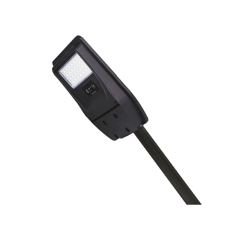 +STREET LAMP ZIGMA SZS23-100WDL 100W SOLR IP65 DL