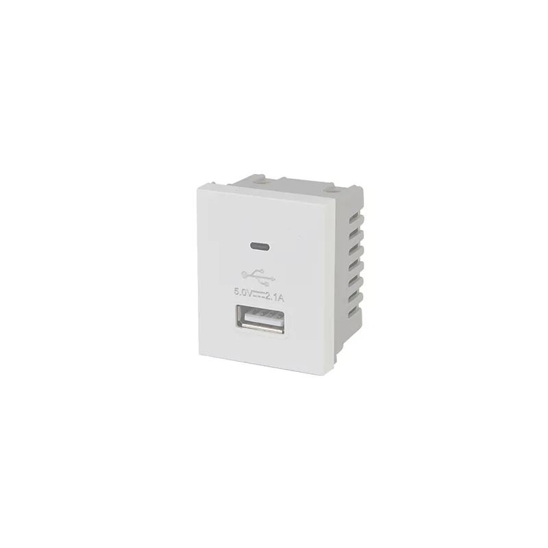 ZIGMA OUTLET OZT24-2USBA+CM+WH WHITE PC+IRON 16AX,250V