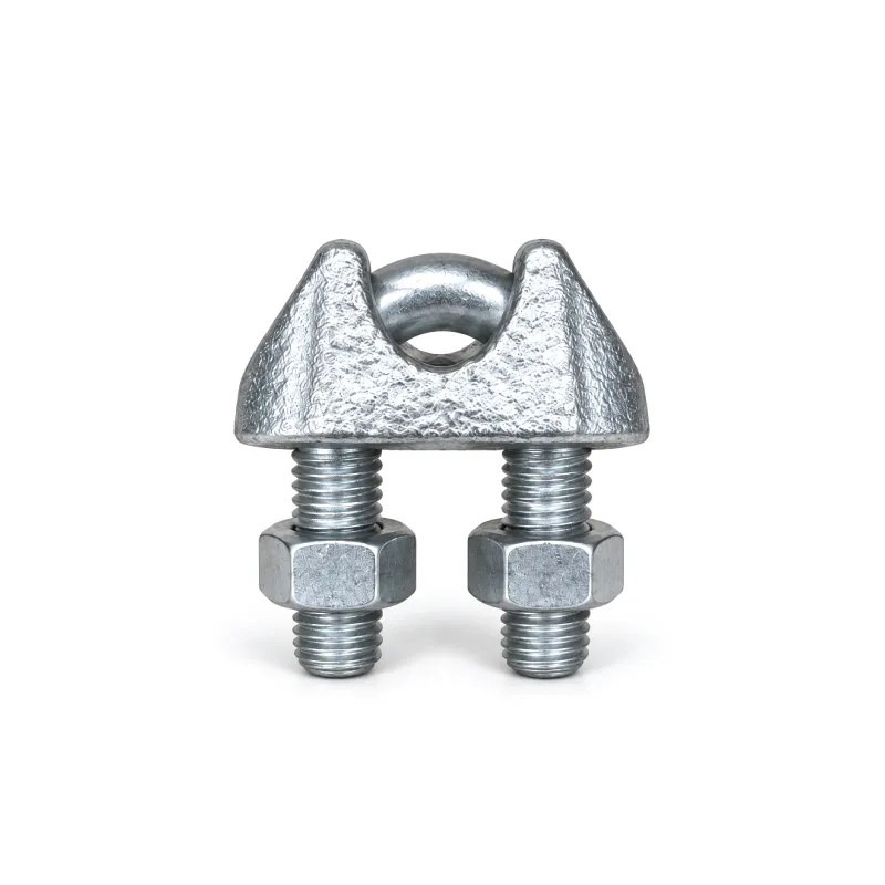 HAUSMANN WIRE ROPE CLIPS WHT0925-DIN741 GALVANIZED IRON RIGGING STANDARD