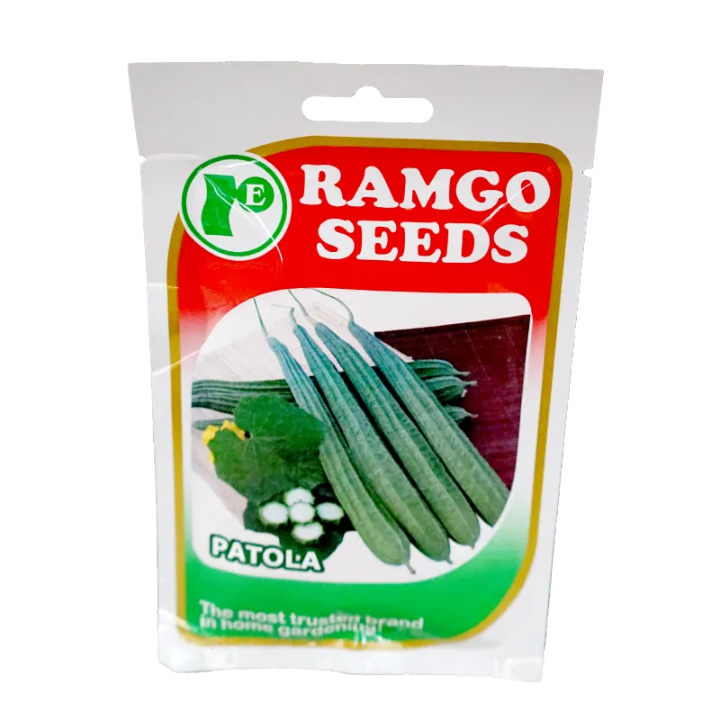 RAMGO SEEDS PATOLA PRADO ACE BROWN SEEDS