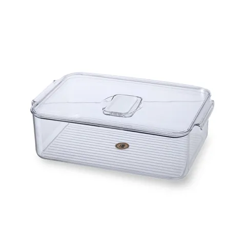 INABOX FRIDGE BOX BT063A CLEAR PLASTIC FRIDGE BOX TALL WIDE CLEAR